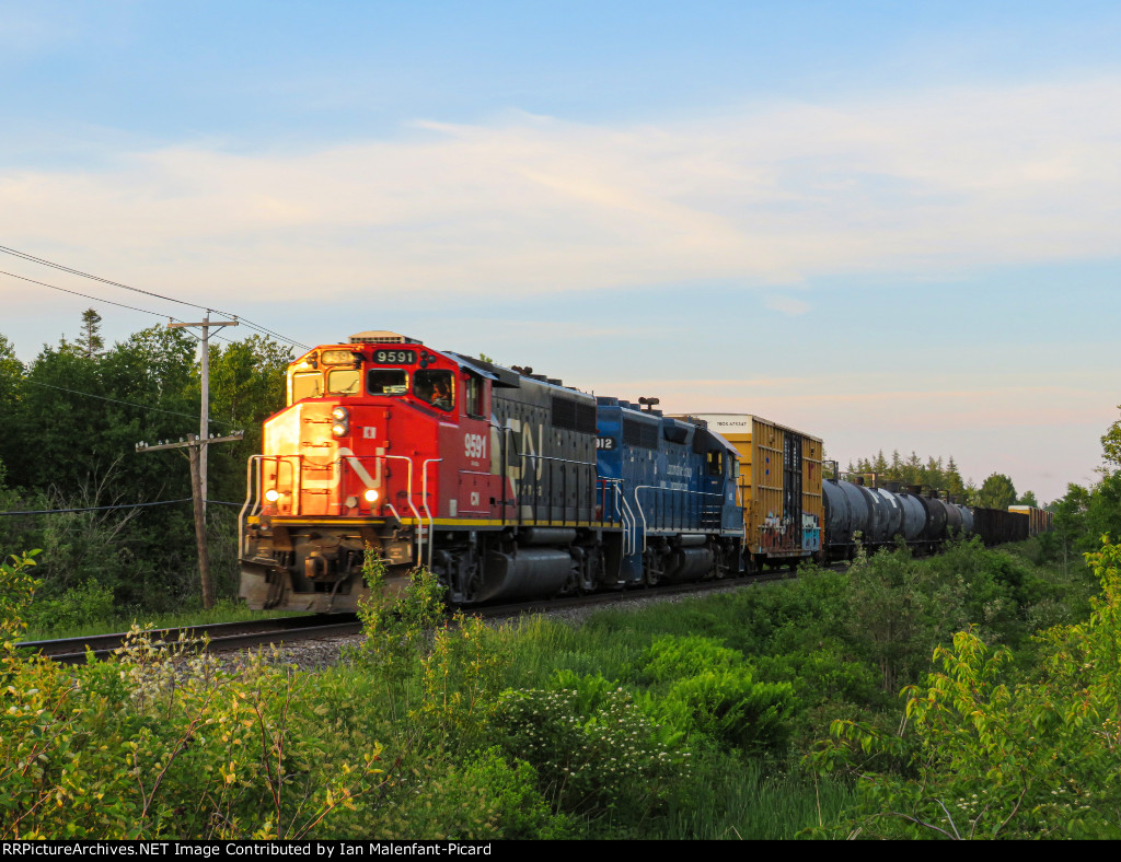 CN 9591 leads 559 at Havre street